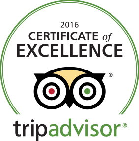 tripadvisor certificate