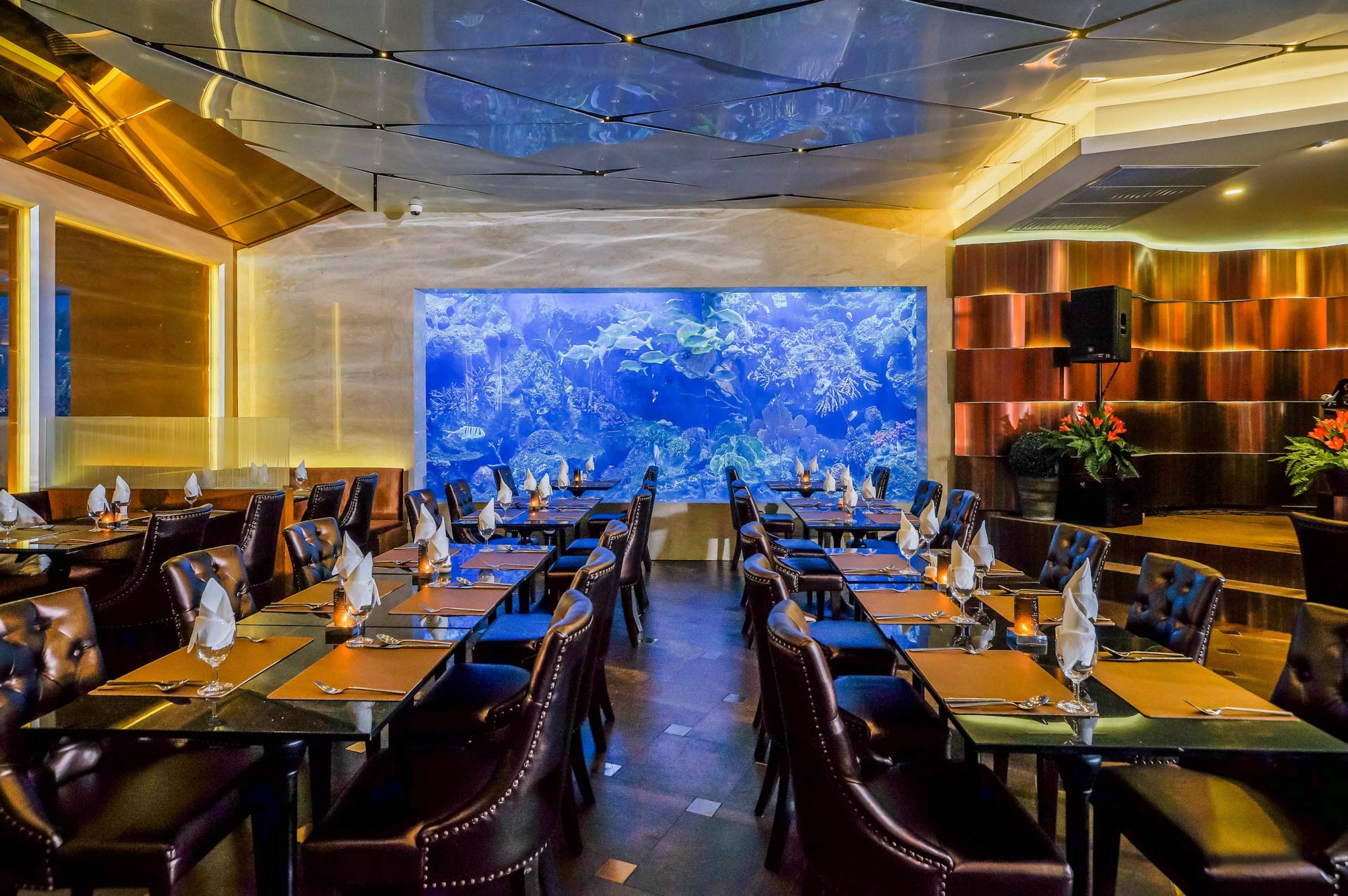 Copper Aquarium Restaurant Amaranta Hotel Huai Khwang Ratchada 