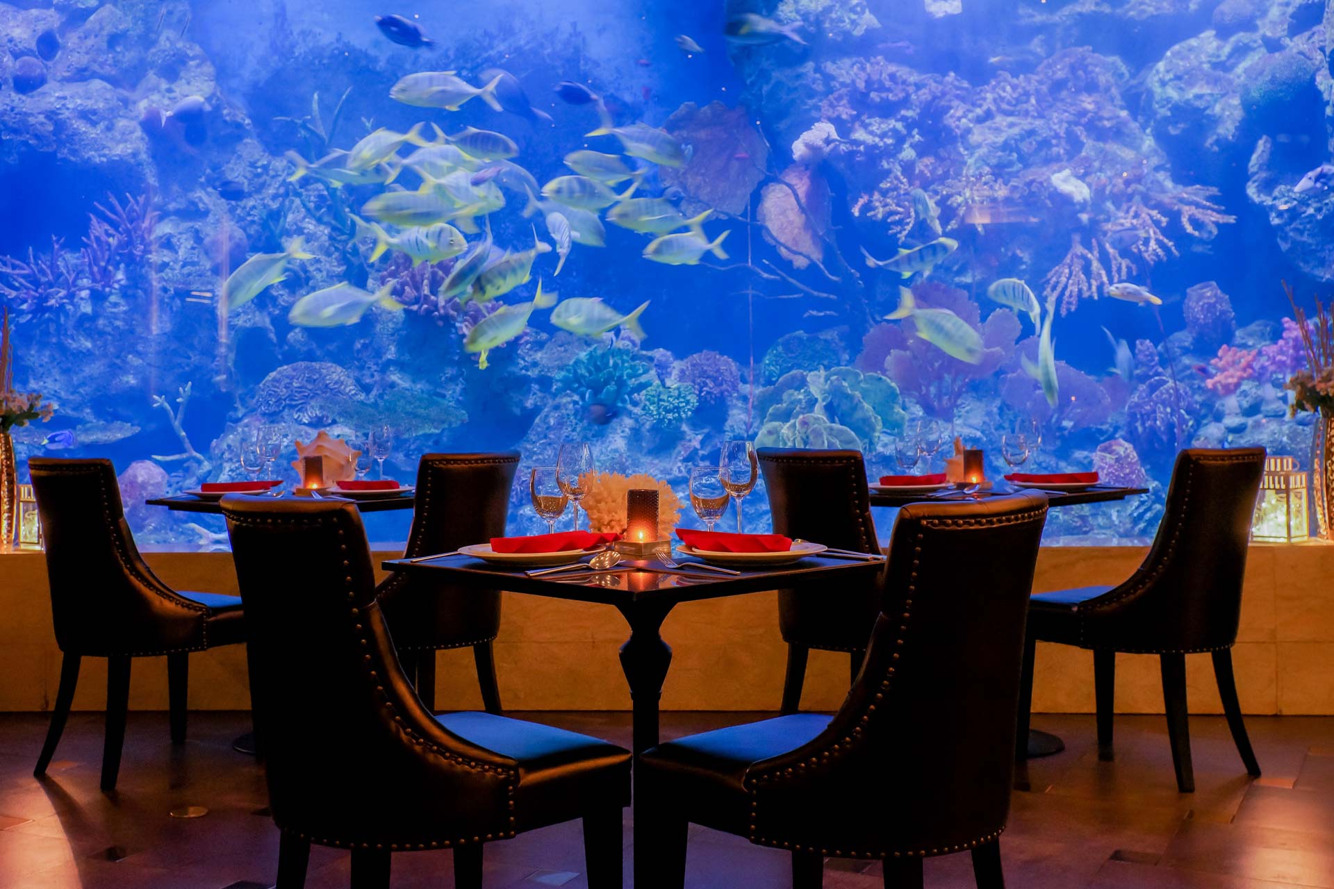Copper Aquarium Restaurant Amaranta Hotel Huai Khwang - 